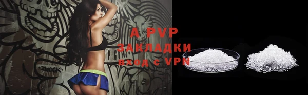 дурь Инта