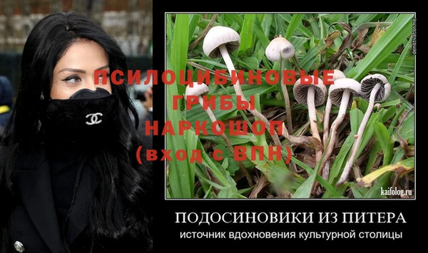 PSILOCYBIN Алексин