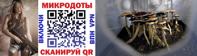 Галлюциногенные грибы Psilocybe kraken ССЫЛКА Воткинск