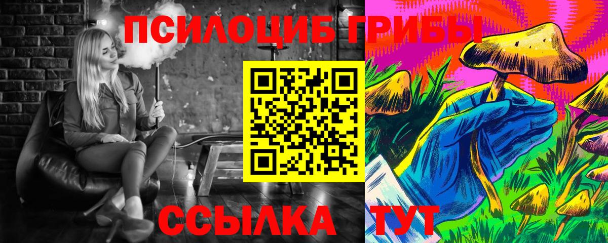 Псилоцибиновые грибы Psilocybe Воткинск