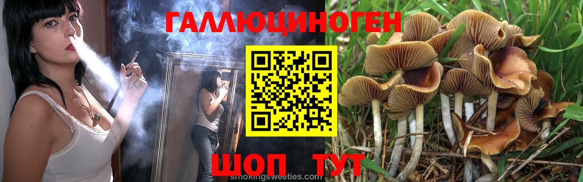 Псилоцибиновые грибы GOLDEN TEACHER  Вход с VPN  Воткинск 